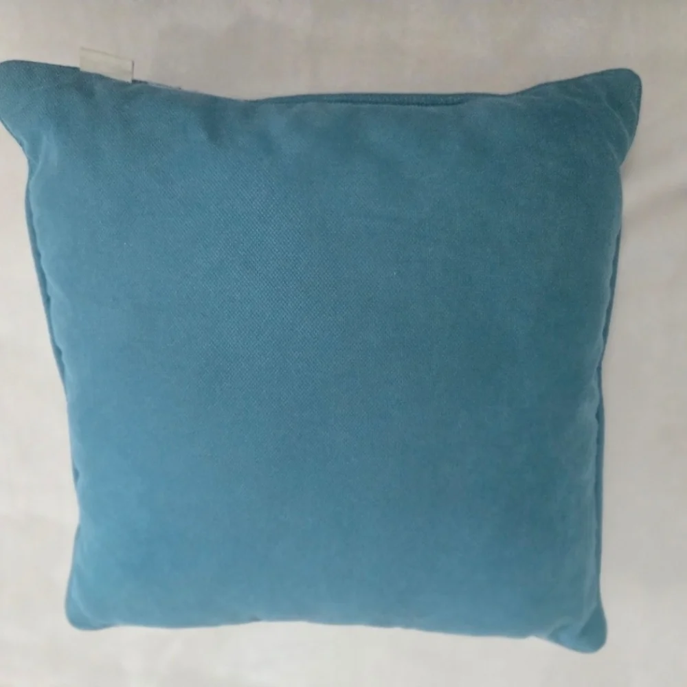 Pier 1 Imports Teal Accent Pillow